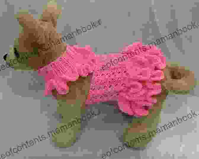 A Crochet Dog Dress Jumper Made With Worsted Weight Yarn In A Light Gray Color. The Dress Jumper Has A Round Neckline, Short Sleeves, And A Ribbed Hem. The Dog Is Wearing The Dress Jumper And Looks Very Happy. Crochet Pattern CP66 Dog Dress Jumper UK Terminology