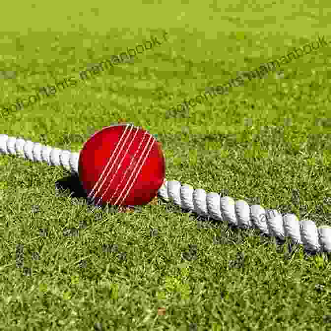 A Panoramic View Of A Cricket Field With Lush Green Outfield, Boundary Ropes, And A Wicket In The Center. FINAL INNINGS : A Voyage Deep Into Uncharted Waters Set In The World Of Cricket