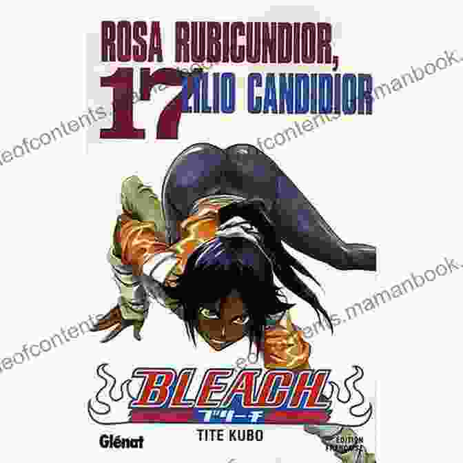 Bleach Vol 17 Rosa Rubicundior Lilio Candidior Cover Art Featuring Ichigo, Rukia, And Byakuya Facing Off Against An Arrancar Bleach Vol 17: Rosa Rubicundior Lilio Candidior