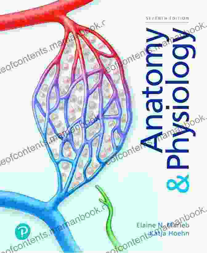 Detailed Explanations Of Anatomy And Physiology McGraw Hill S Complete Medical Spanish Premium Fourth Edition