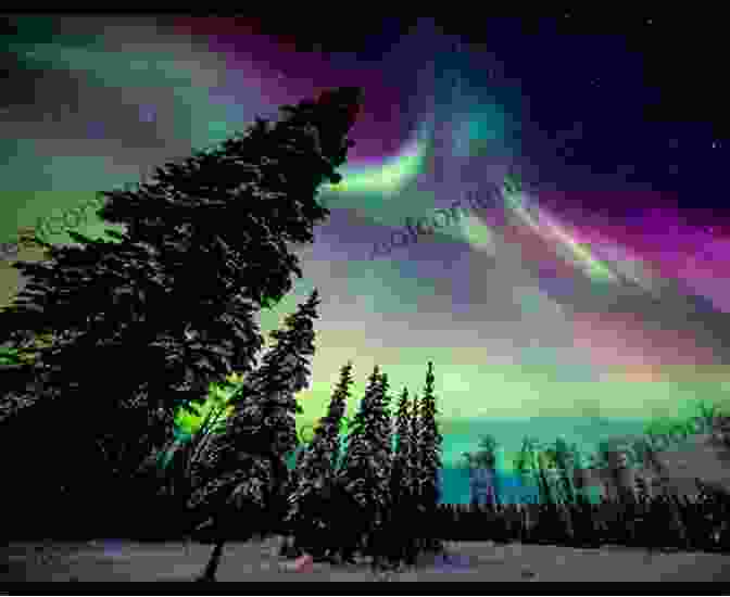 Northern Lights Illuminating The Night Sky Fireflies Tired Eyes II: Northern Lights