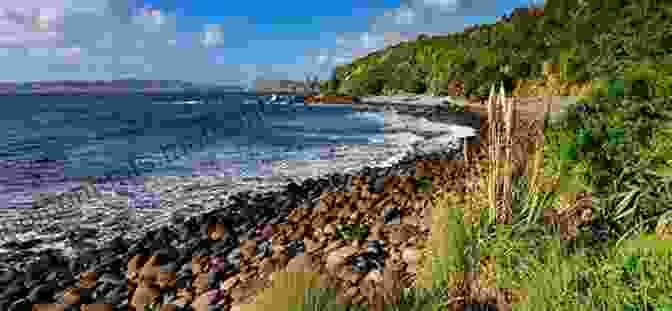 Scenic Landscape Of Whale Bay, Raglan, New Zealand Whale Bay Raglan New Zealand