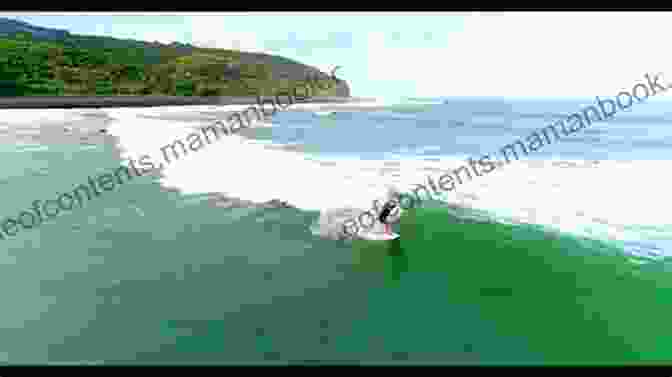 Surfer Riding A Wave At Whale Bay, Raglan, New Zealand Whale Bay Raglan New Zealand