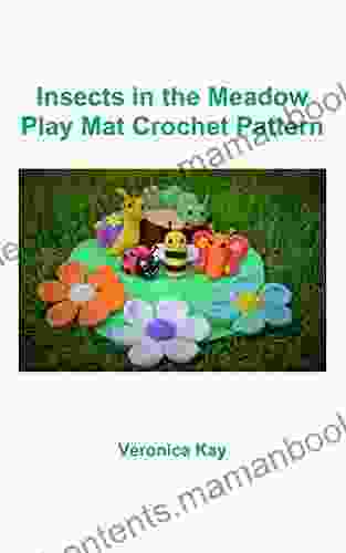 Insects In The Meadow Play Mat Crochet Pattern