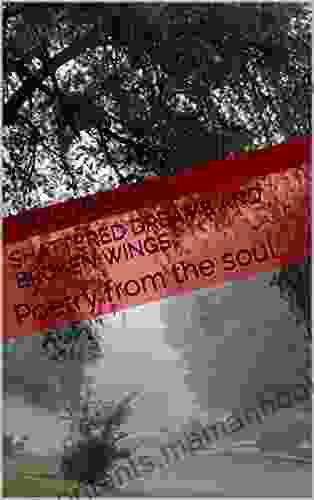 Shattered Dreams And Broken Wings: Poetry from the soul